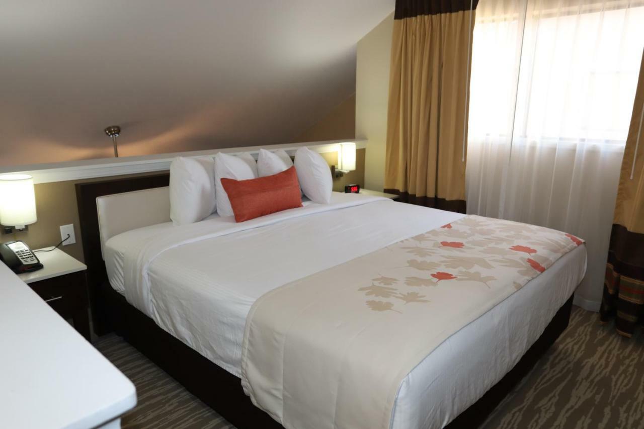 Hawthorn Suites By Wyndham Detroit Southfield Dış mekan fotoğraf